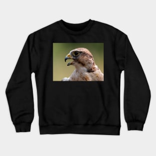 Saker Falcon Crewneck Sweatshirt